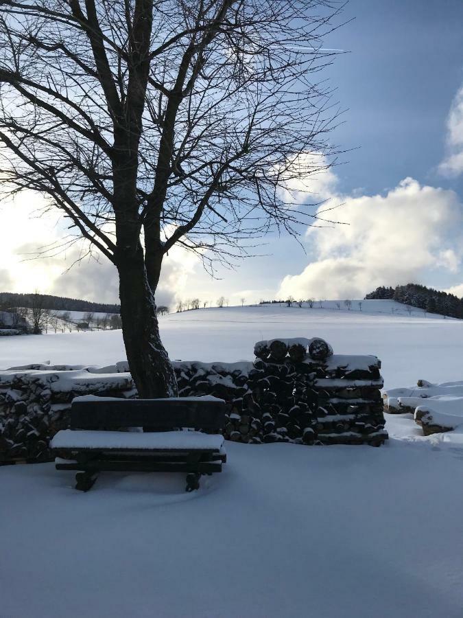 Ferienwohnung Haus Friederike Ab 6 Uebernachtungen, Inclusive Meine Card Plus Willingen  Exterior foto